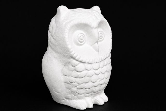 Owl - Small Feathered