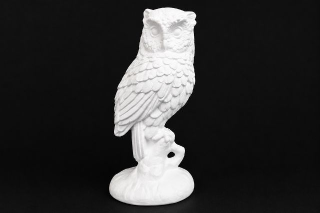 Owl - Small on Branch