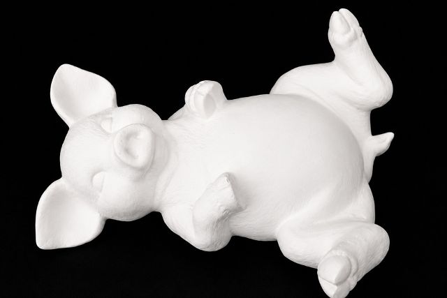 Pig on Back Looking Up