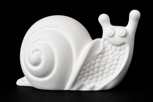 Snail