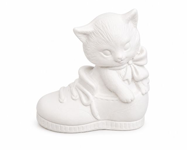 Tiny Kitten in Shoe