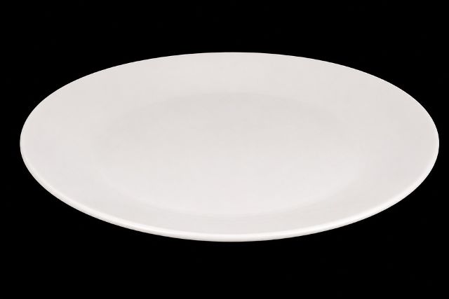 Plate - Dinner Rimless