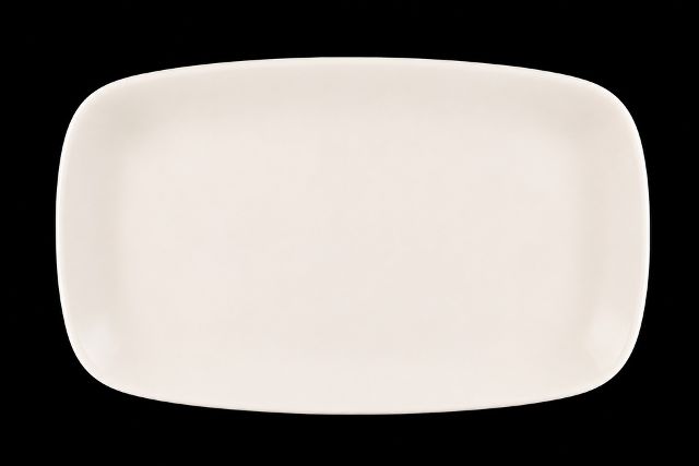 Platter - Sushi - Rectangular Large