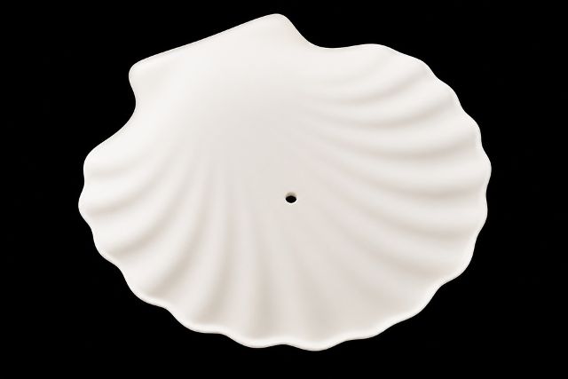 Soap Dish - Shell