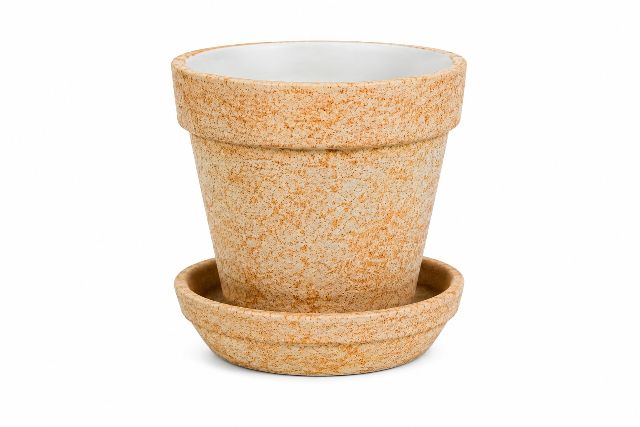 Plant Pot Small