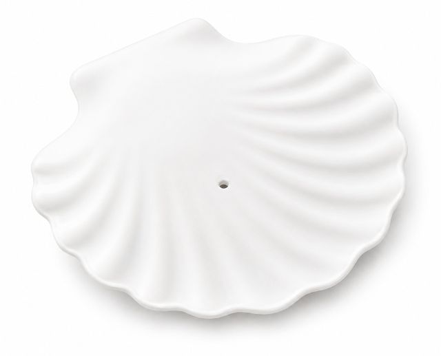 Shell Dish