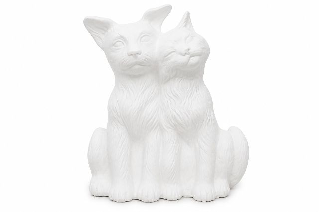 Cat And Dog Happy