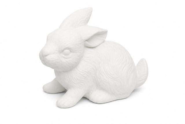 Bunny Down Real