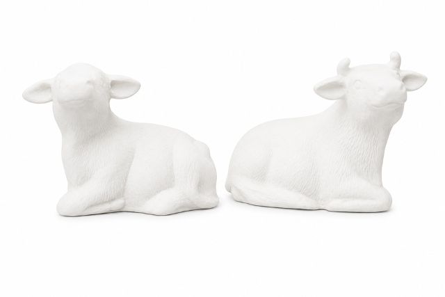Cows Two Lying