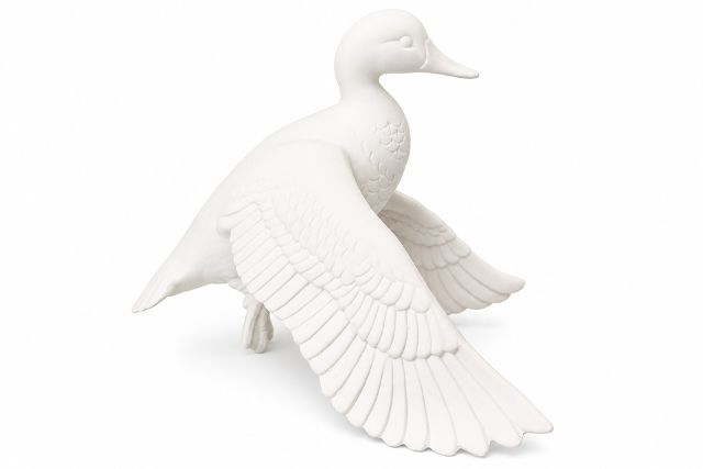 Duck Flying