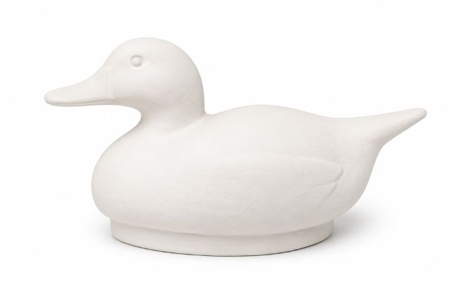 Duck Med Pintail