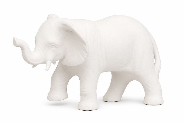 Elephant Young