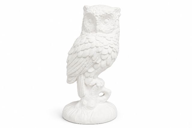 Owl Small On Branch