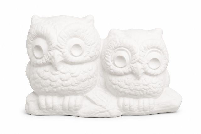 Owls Skunk Snails & Frog