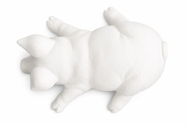 Pig On Tummy