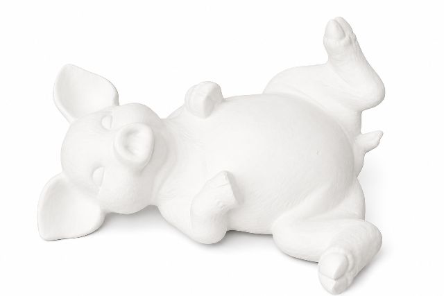 Pig On Back