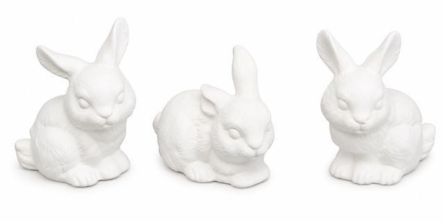 Bunnies 3 Real