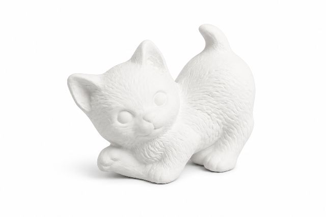 Kitten Tiny