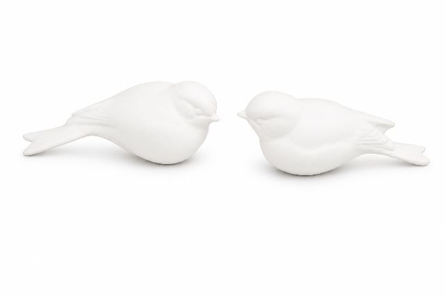 Two Birds